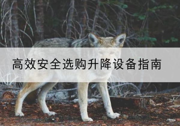 萨尔图升降货梯厂家推荐-*安全选购升降设备指南