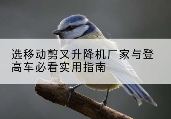萨尔图电动升降机厂家-选移动剪叉升降机厂家与登高车必看实用指南