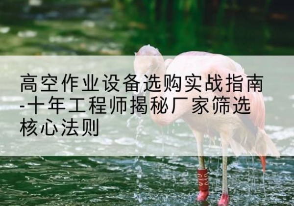 萨尔图剪叉式升降机厂家-高空作业设备选购实战指南-十年工程师揭秘厂家筛选核心法则